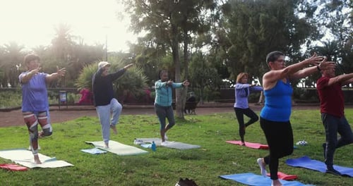 Multiracial Senior People Doing Yoga Exercises Outdoor with City Park in Background