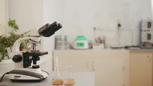 Microscope and beakers in a laboratory