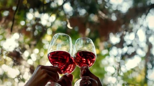 Toasting with Rosé Wine Glasses on a Sunny Day in Slow Motion