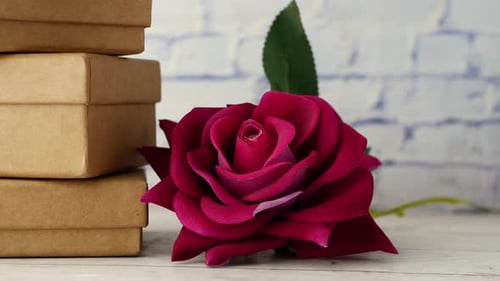 Crimson Rose Beside Stack of Brown Boxes