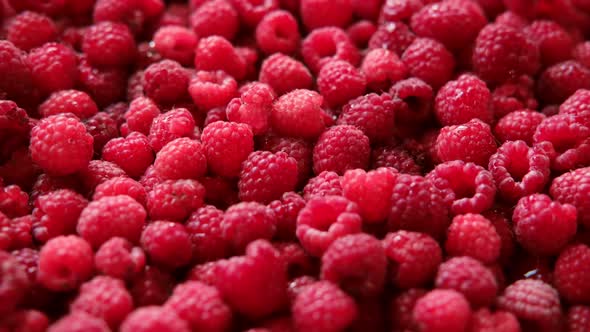 Sweet Raspberry Background Full Frame of Fresh Raspberries Red Ripe ...