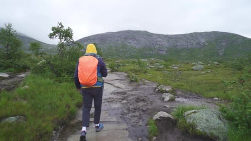 guy travels on a beautiful mountain road in norway