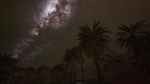 Night Scene with Silhouette Hut and Coconut Tree with Milky Way Galaxy in Sky