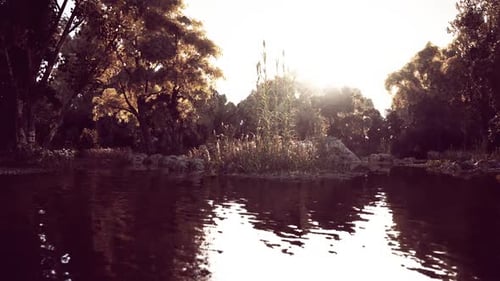 Ruhiger Blick auf das Flussufer mit Sonnenlicht, das in der Abenddämmerung auf dem Wasser glitzert