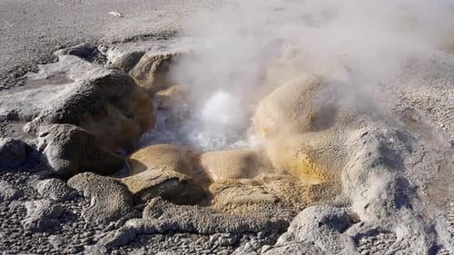 Bubbling Geyser in Yellowstone, Wyoming