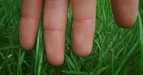 Macro close up of female hand touching gently a fresh green grass. Concept of love for nature, eco