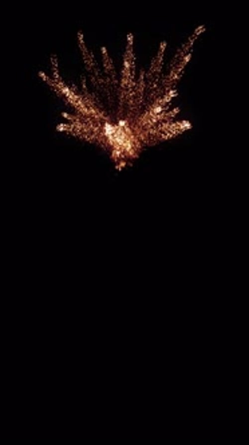 Sparkler Firecracker Burst Celebration Animation