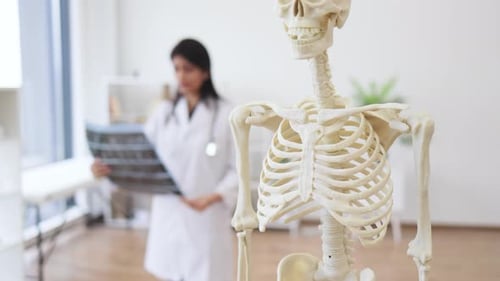 Doctor Examines X-Ray with Skeleton Model in Foreground