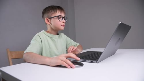 Boy Using Laptop Computer at Desk Indoors