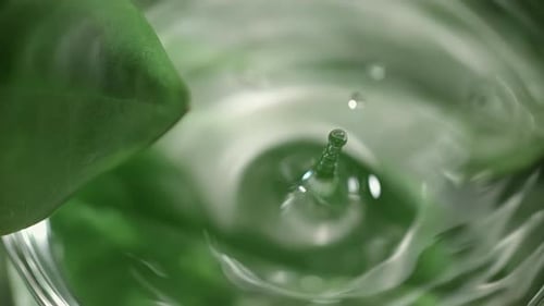 A gota está caindo em uma placa de Petri com líquido cosmético ou medicinal na ciência dermatológica de câmera lenta