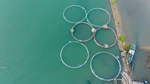 Fishing Industry