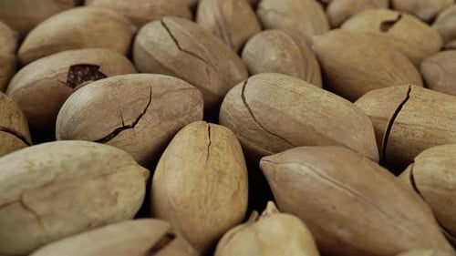 Closeup Of Rotating Pecan In Shell.
