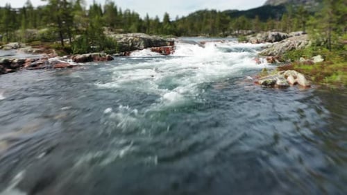 A flight against a current over powerful waters of a mountain river running over a layered stone bed