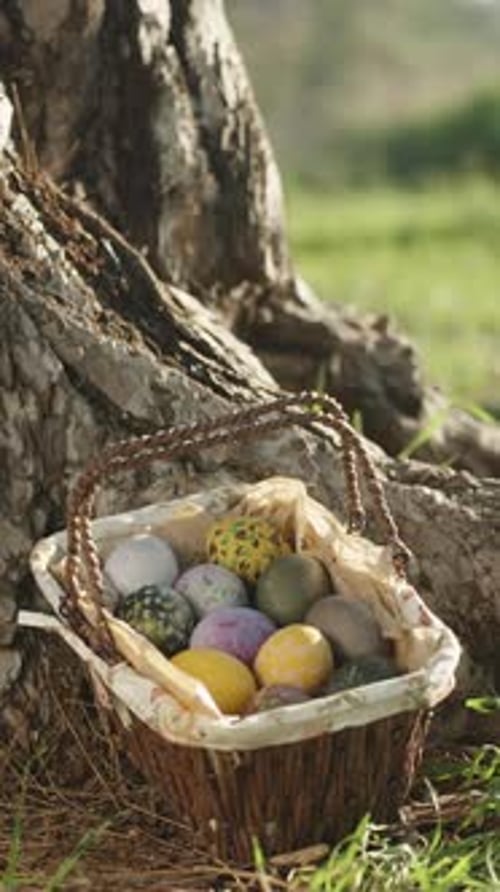 Knitted basket with Easter Eggs At a large Tree in a Sunny Forest. The girl runs up and takes the ba
