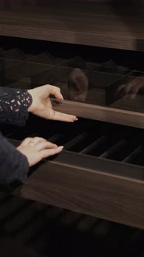 Vidéo verticale, tiroirs de garde-robe à ouverture manuelle pour femmes avec compartiments de rangement organisés