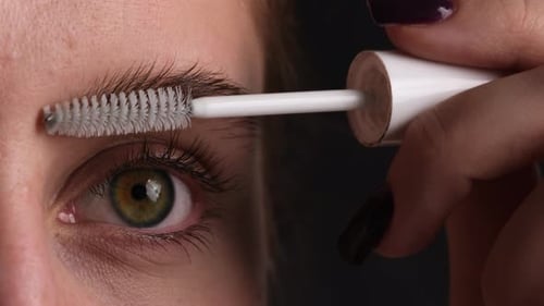 Professional Makeup Close Up Shoot Brushing Eyebrows With Cosmetic Brush