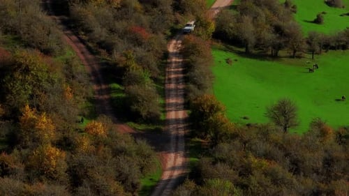 Drone Shot of a Village road in the middle of forest