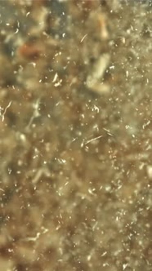 The Sawdust Flies Up and Down Filmed on a Highspeed Camera at 1000 Fps