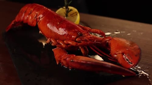 cooked lobster with red sauce in a restaurant on a black background.