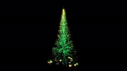 Magic Christmas Tree Growth