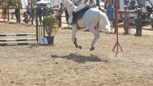 Pferdesport: Auf einem weißen Pferd in der Arena reiten, über eine Barriere springen