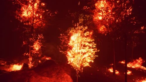 Llamas intensas de un enorme incendio forestal