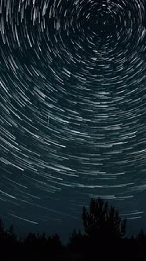 Rotating Star Trails Over Dark Tree Line