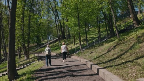 Two Senior Women Take a Gentle Walk Through a Sunlit Forest Park One Participating in Rehabilitation