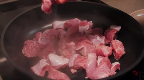 Diät, gesundes Ernährungskonzept: Fleischeintopf zu Hause kochen