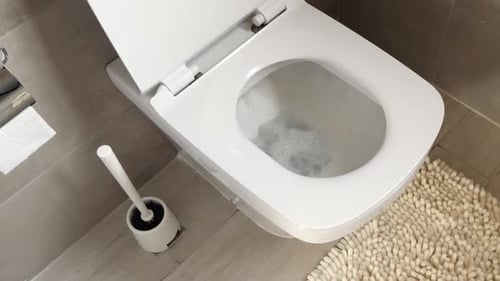 Toilet Flushing in a Contemporary Bathroom