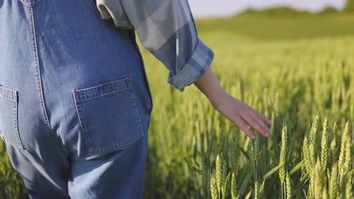Woman Touching Wheat Field