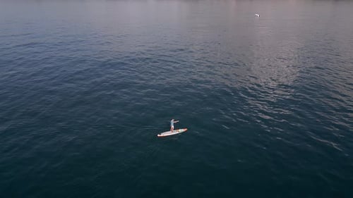 Aerial View of a Man Paddling a Standup Paddleboard or SUP Board on a Calm Sea