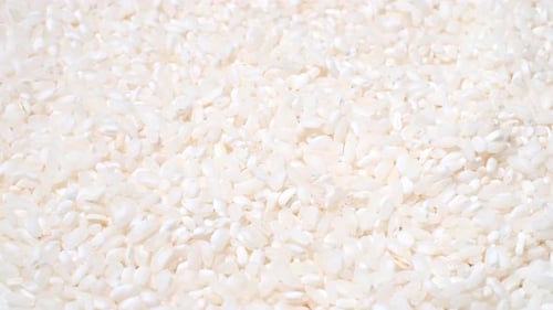 Fondo de vídeo de arroz blanco crudo seco en un plato blanco que gira sobre un fondo blanco