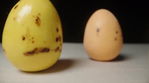 Chocolate colored eggs on a white table on a black background, the camera rides back through them.