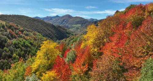 Luftaufnahme des lebendigen Herbstlaubs, das eine Berglandschaft bedeckt und eine atemberaubende Vielfalt zeigt