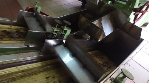 Agriculture, Manufacture, Industry and Farming Concept - Green Tea Raw Moving On