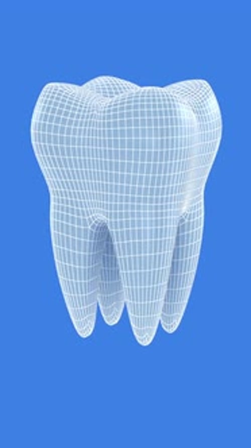 3D Wireframe Tooth Model Rotating Animation