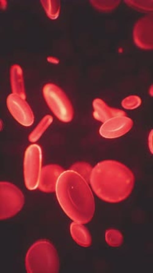 Healthy Human Red Bloodcells Abstract Concept