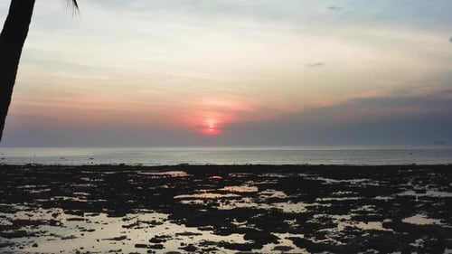 Red sunset over ocean horizon and sea coast with palms at low tide.