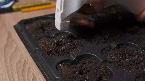 Expertly Engineered Hand Tools Intended To Enhance Seed Sowing Accuracy In Specific Compartments