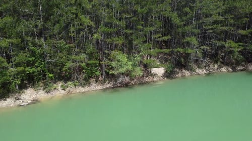 Aerial Lake in Forest