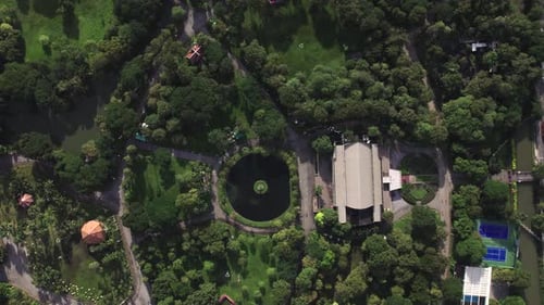Drone diving towards small pond in Lumphini park, white birds and traffic