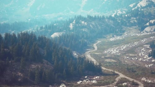 Winding Road in the Mountains with Pine Forest