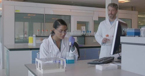 Scientist Looking at Test results on Computer in Pharmaceutical Laboratory