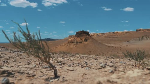 Sandy Canyon