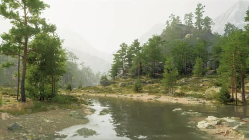 Ein ruhiger Fluss, der durch einen lebendigen grünen Wald fließt