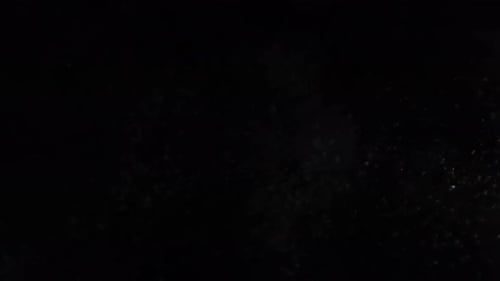 Dust Particles