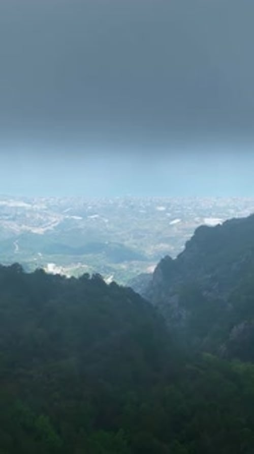 Vertical Video Aerial Escape to the Vibrant Green Forest Drenched in Rain's Embrace