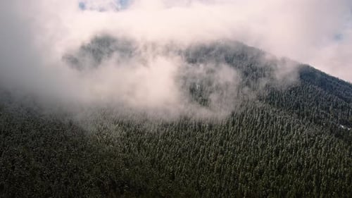 Aerial Foggy Mountains, Jungle