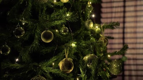 Close Up of Christmas Tree at Night